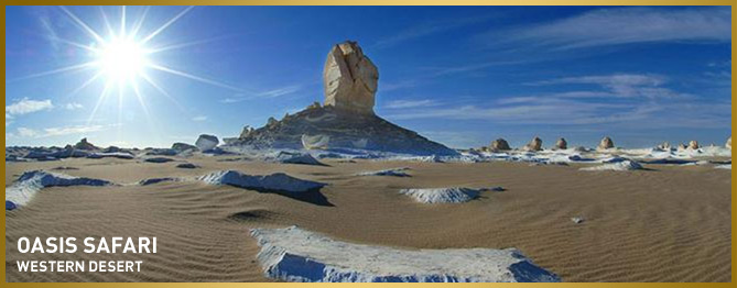 Oasis Safari